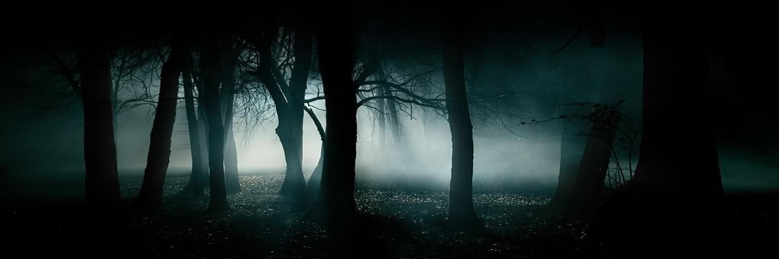 AdamoPrestini's profile banner image