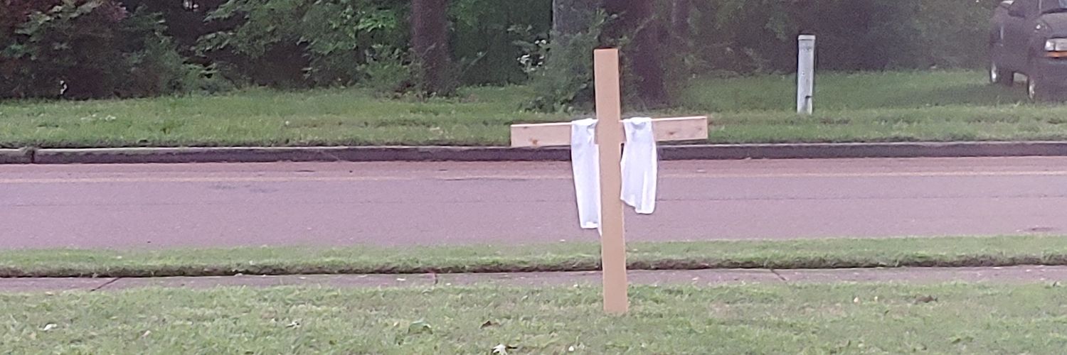 Alison Mcgee banner