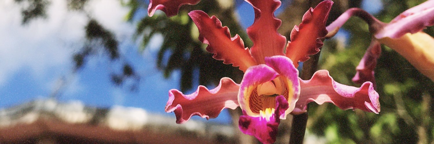 Dabey92's profile banner image