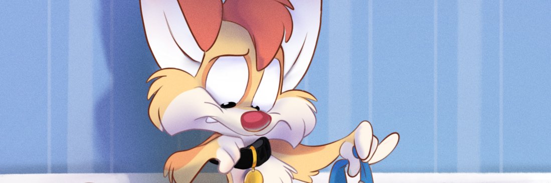 soft_paws_'s profile banner image