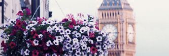 H_15_'s profile banner image