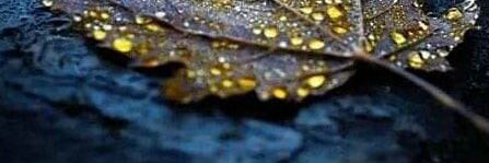 masssa1990's profile banner image