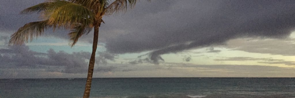 rickyduch's profile banner image