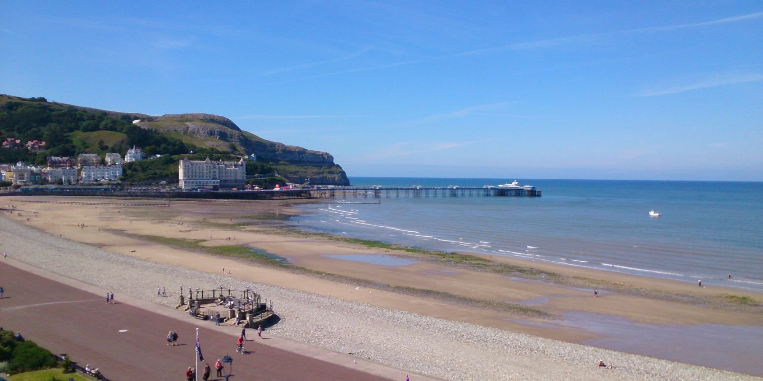 Nameless Lemon 🍋 banner