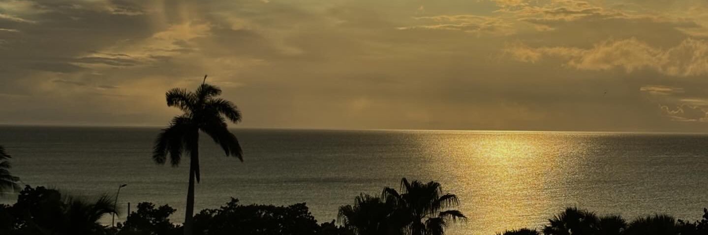 aaleexyya's profile banner image