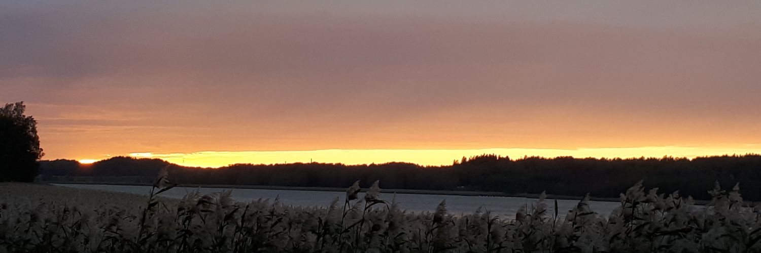HennaRsnen's profile banner image