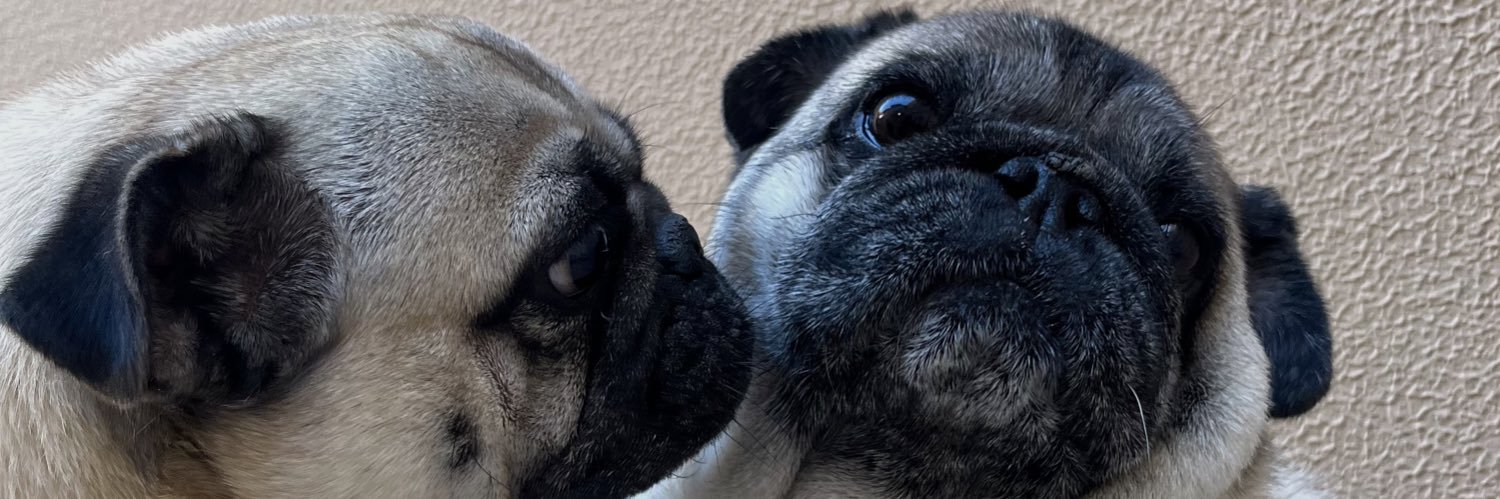 apolydoroo's profile banner image