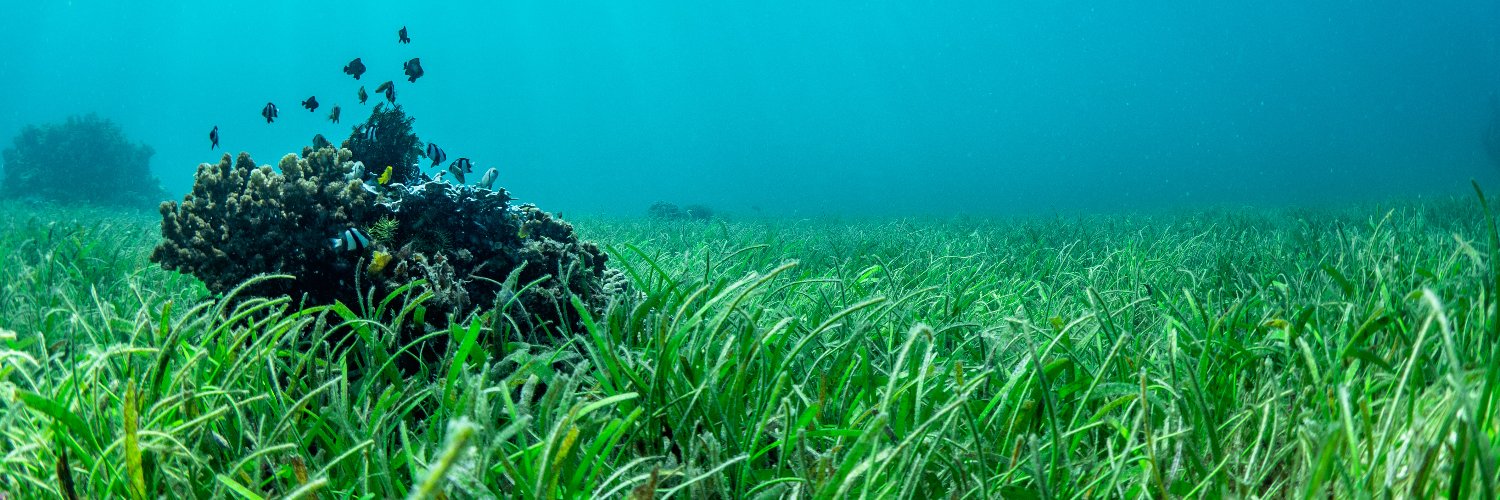 Marco Ghisalberti banner