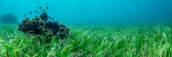 enviro_fluids Profile Banner