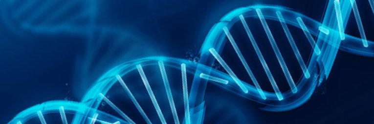 Dr. Urrutia’s Precision Medicine Site banner