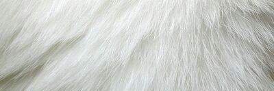 feeercg's profile banner image