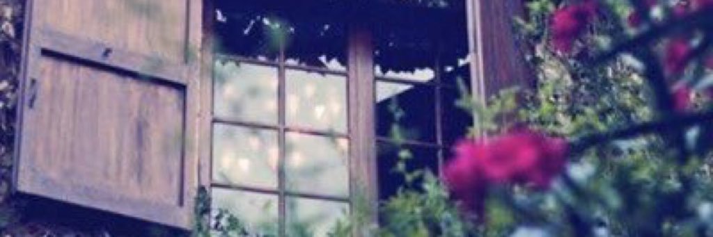 wajd_18's profile banner image