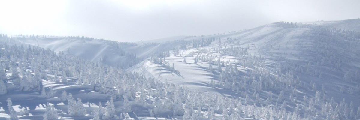 hawaron's profile banner image