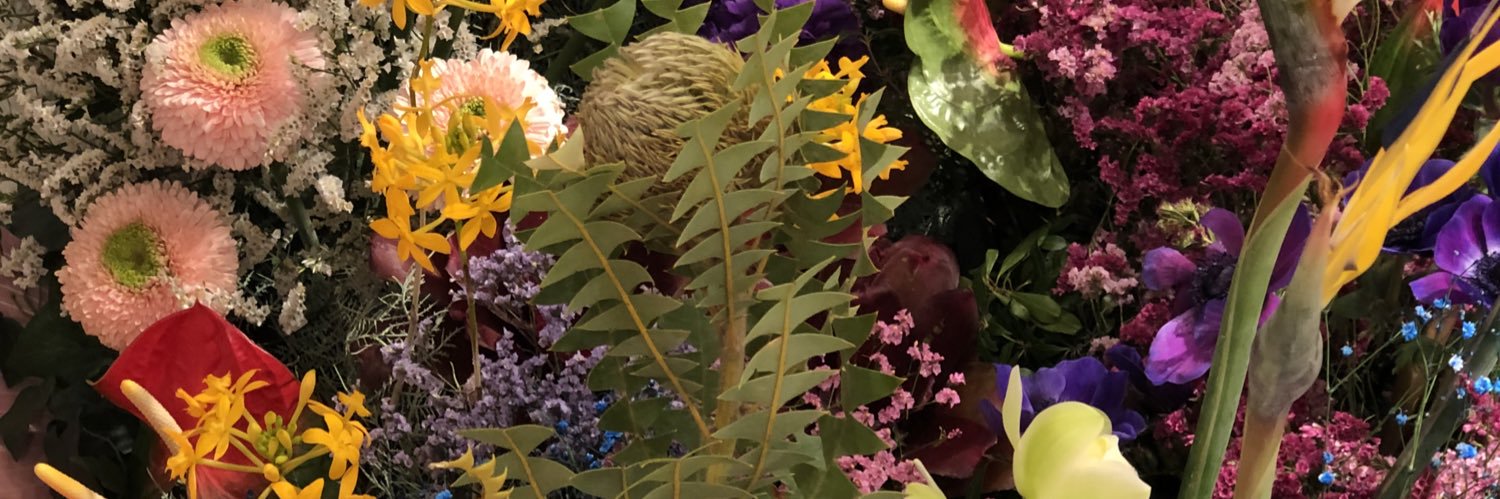 miwnoz's profile banner image