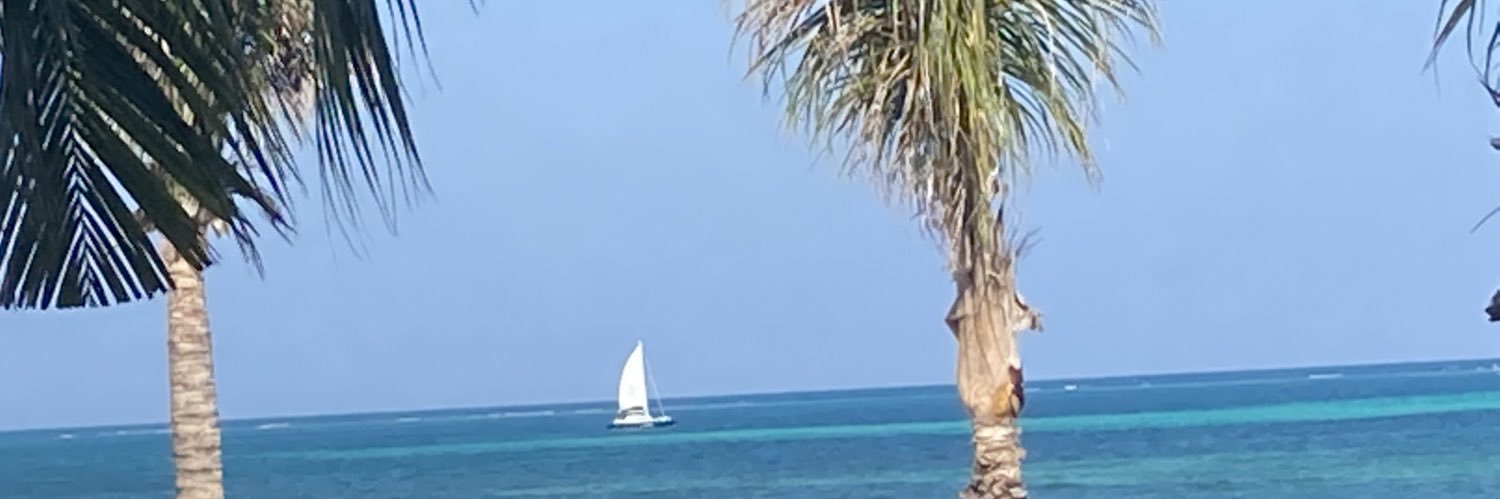 Anae1813's profile banner image