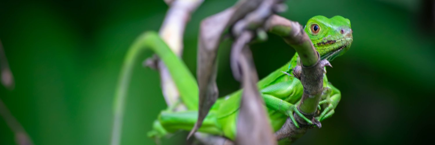 DailynSouder's profile banner image