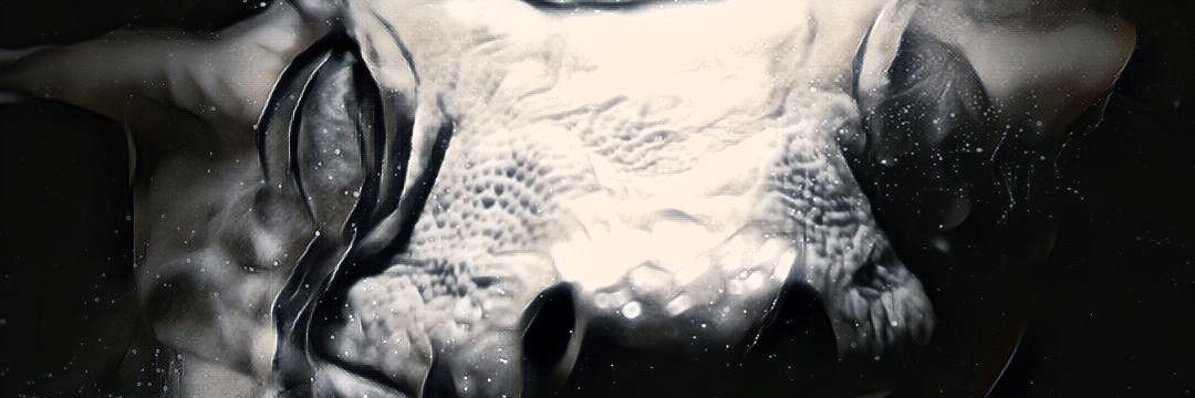 BB Gecko's@近畿レプタイルズマーケット【3/1】 banner