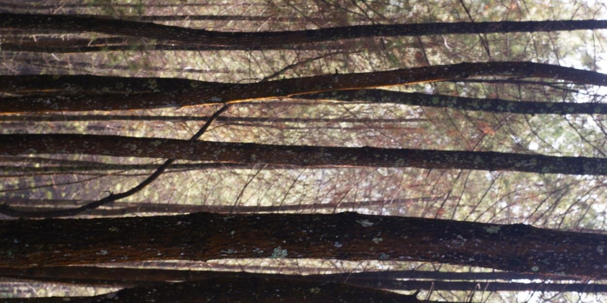 sugabagus banner