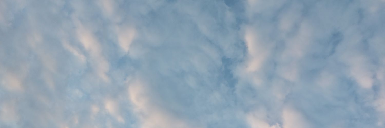 _fflorcs's profile banner image