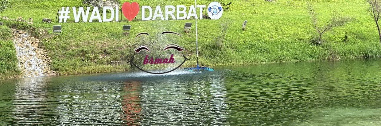 2011Bsmah's profile banner image
