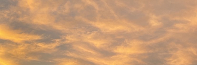 Vicky banner