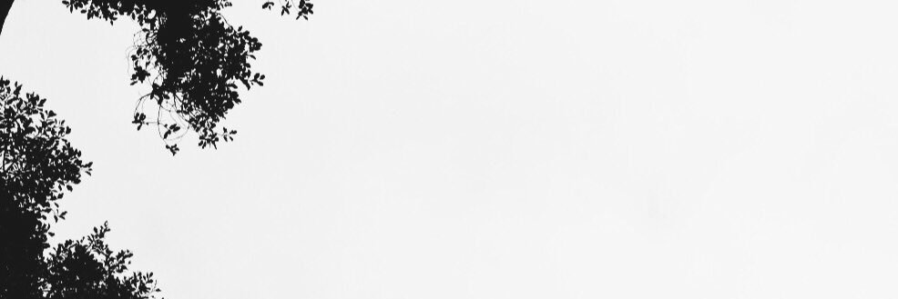 Giaccho_'s profile banner image