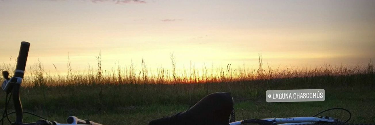 Melisurdoo's profile banner image