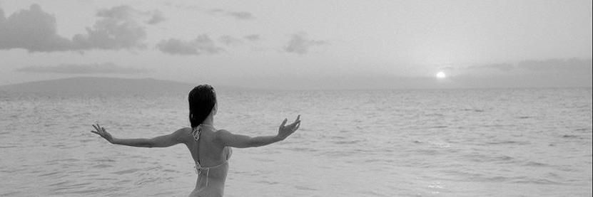 by Nie banner
