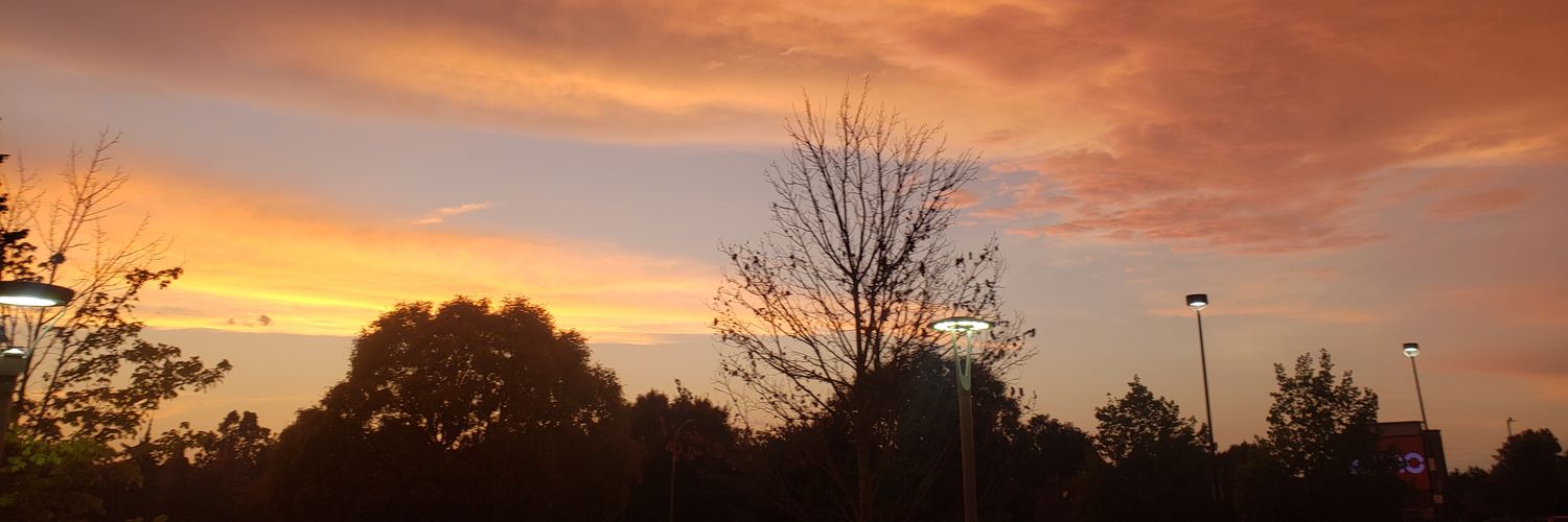 pantyrad's profile banner image