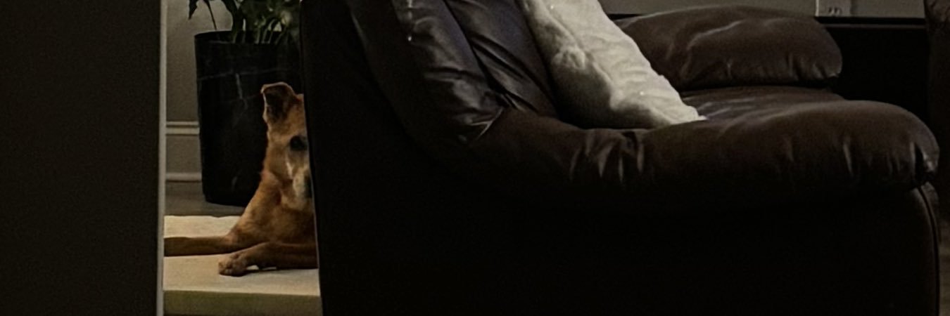xvxpxo's profile banner image