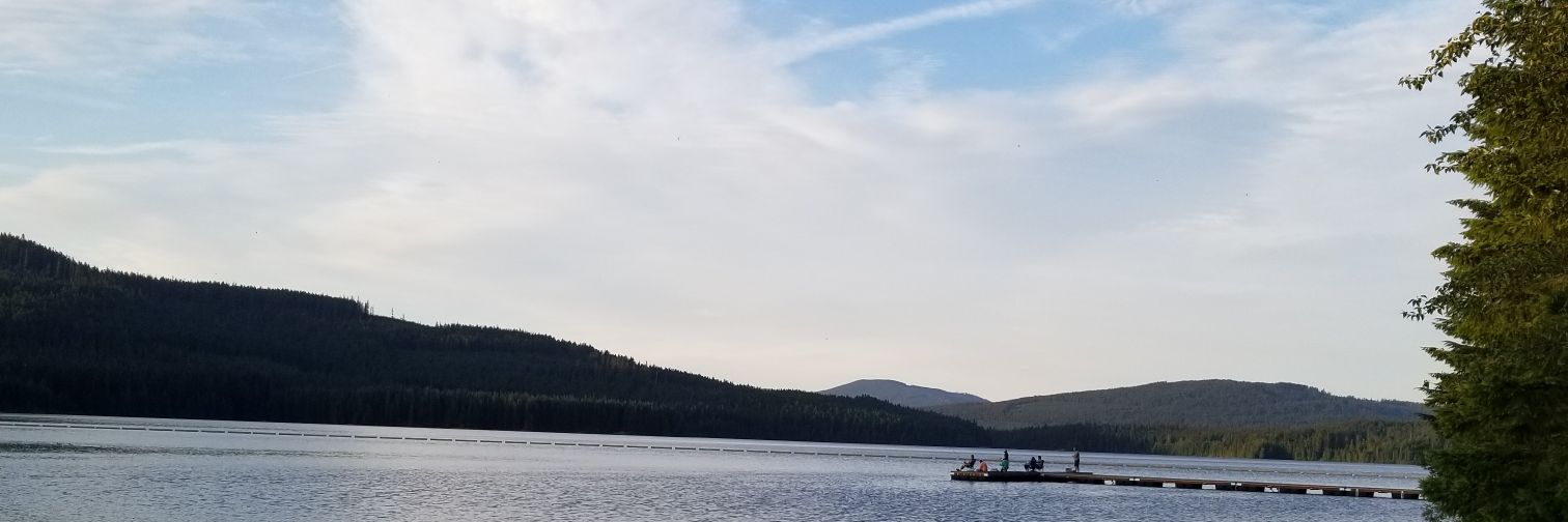 Proud American banner