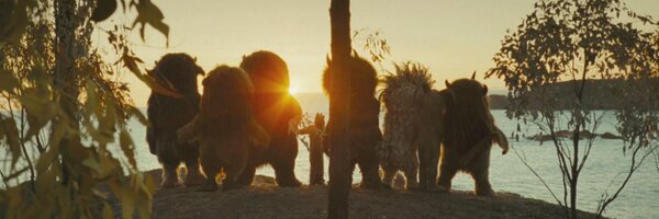 sennhauser Profile Banner