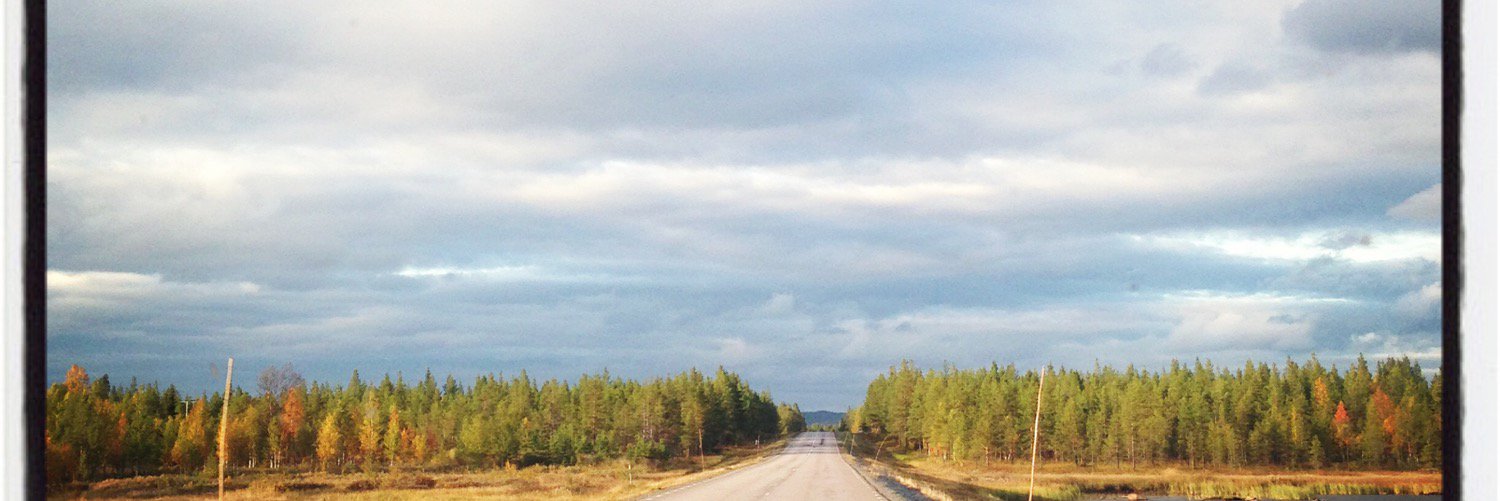 SaraKalucza's profile banner image