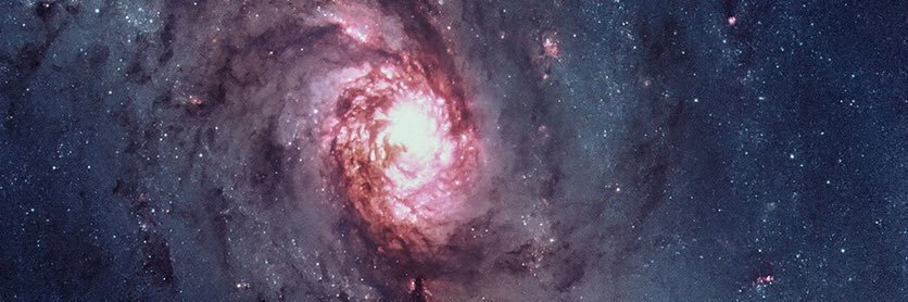 kelvingaravito's profile banner image