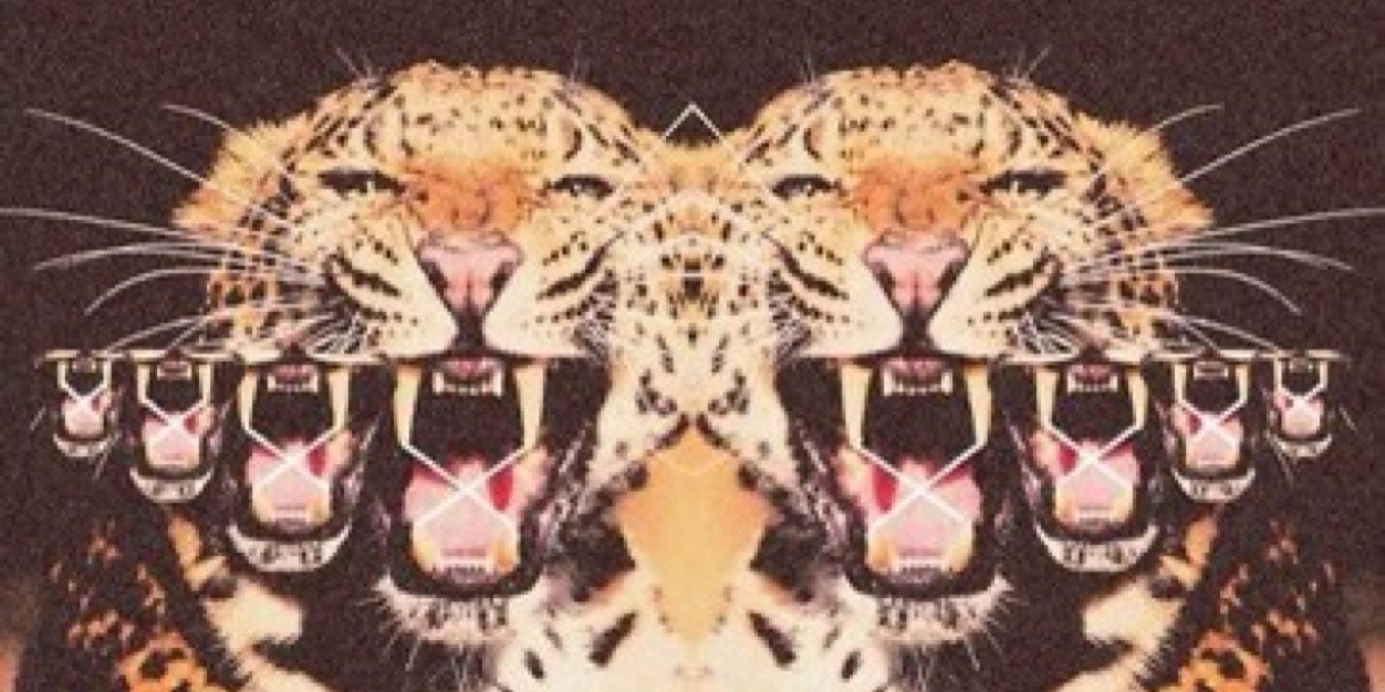 caribou_johnson's profile banner image