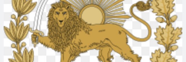 simin75689455's profile banner image