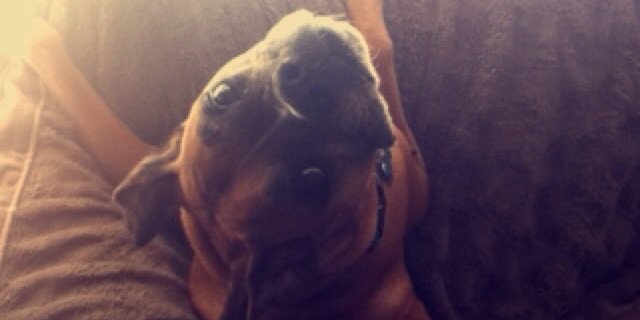 KindallHannah's profile banner image