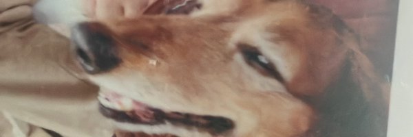 fxgodzeuss Profile Banner