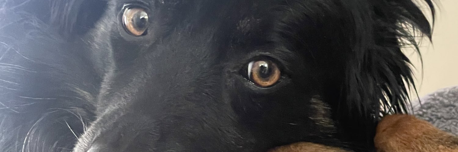 DANIEL DEXTH (VTUBER) banner