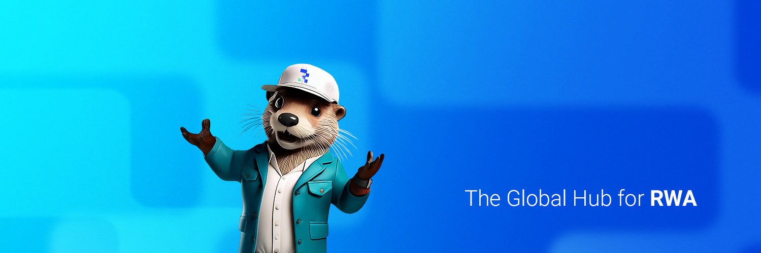 RWA.io banner
