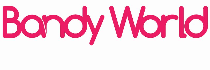 BandyWorld banner