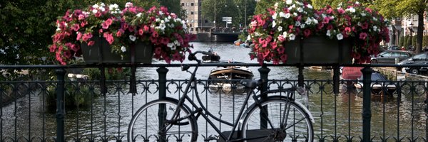 RLadiesAMS Profile Banner