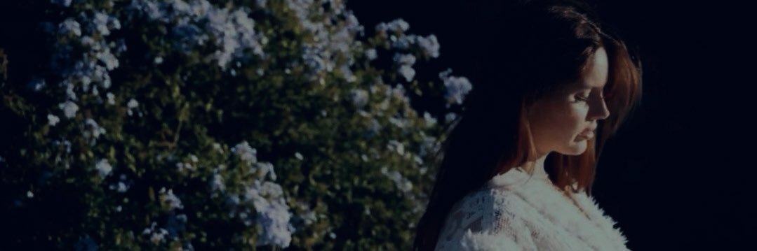 pinkvelvetr's profile banner image