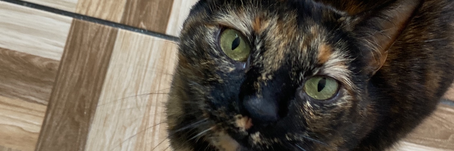 domoozz's profile banner image