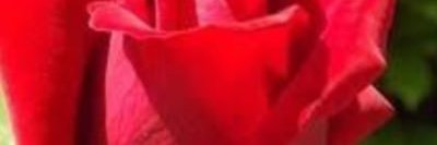 omerr6666's profile banner image