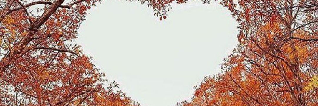 EscaML's profile banner image