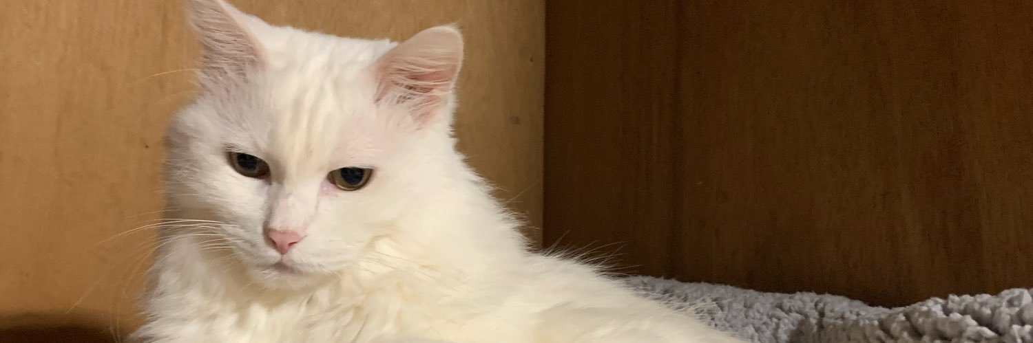 AkemiPEARL's profile banner image