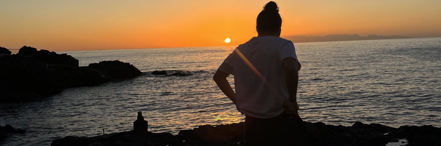 taartaarugaa_'s profile banner image