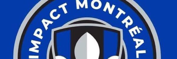 Fan de sports banner