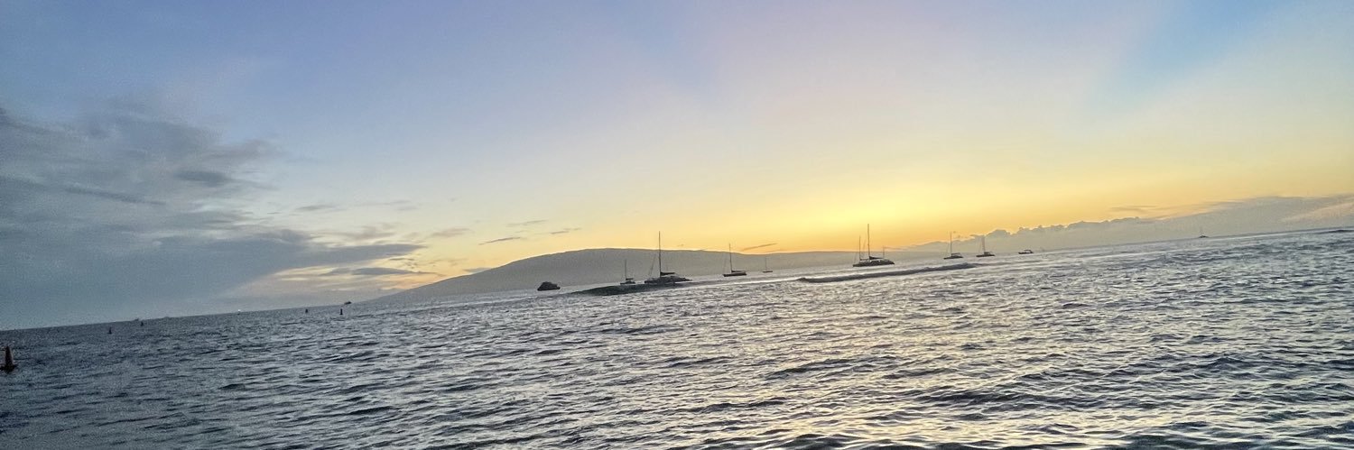 dinadiba25's profile banner image